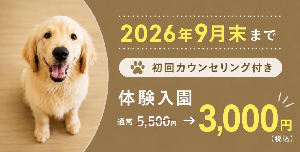 9月末まで体験入園が3000円でうけられます